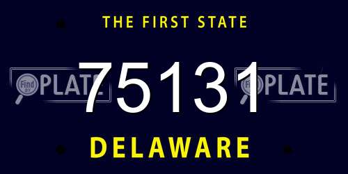 75131 Delaware License Plate