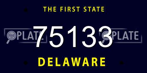 75133 Delaware License Plate