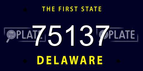 75137 Delaware License Plate