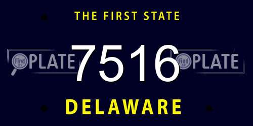 7516 Delaware License Plate