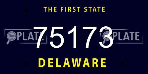 75173 Delaware License Plate