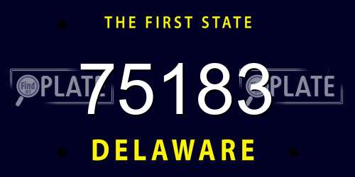 75183 Delaware License Plate