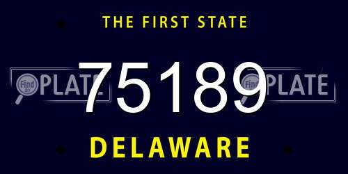75189 Delaware License Plate