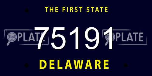 75191 Delaware License Plate