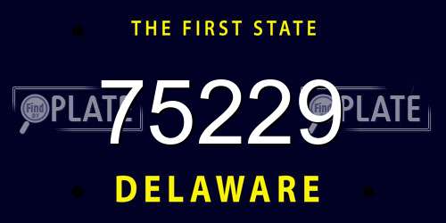 75229 Delaware License Plate