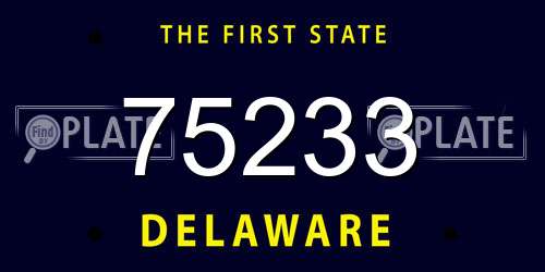 75233 Delaware License Plate