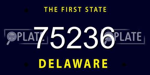 75236 Delaware License Plate