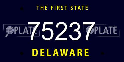 75237 Delaware License Plate