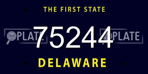 75244 Delaware License Plate