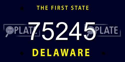 75245 Delaware License Plate