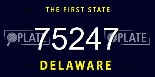 75247 Delaware License Plate