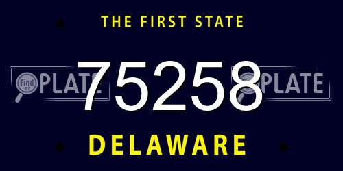 75258 Delaware License Plate