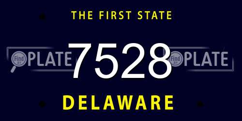 7528 Delaware License Plate