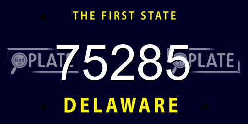 75285 Delaware License Plate