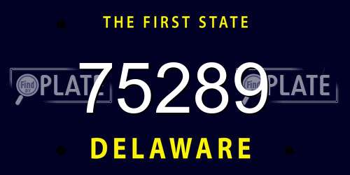 75289 Delaware License Plate
