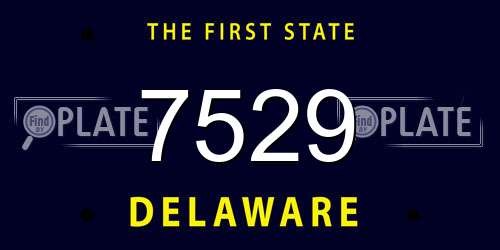 7529 Delaware License Plate