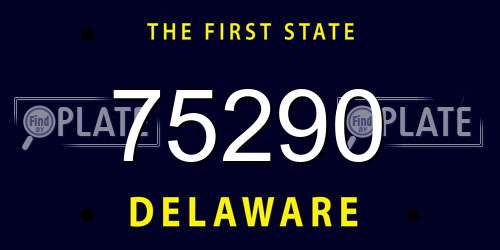 75290 Delaware License Plate