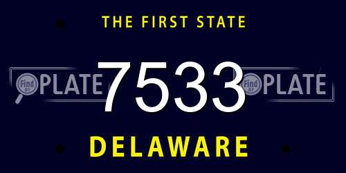 7533 Delaware License Plate