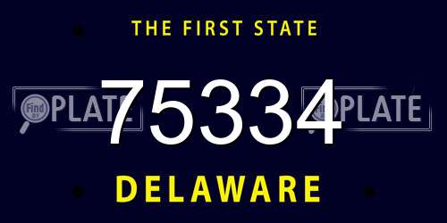 75334 Delaware License Plate