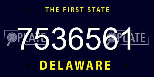 7536561 Delaware License Plate
