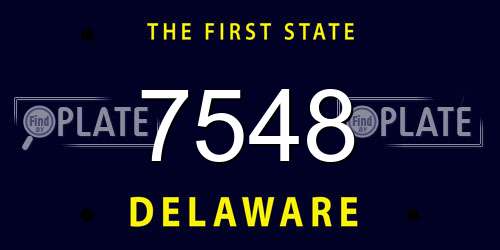 7548 Delaware License Plate