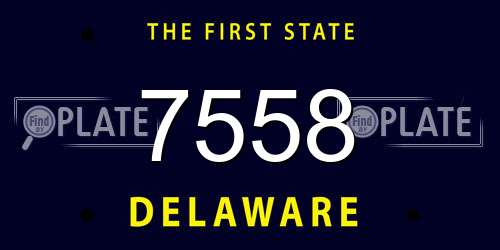 7558 Delaware License Plate