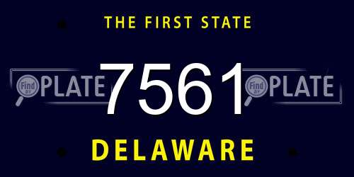 7561 Delaware License Plate