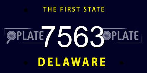 7563 Delaware License Plate