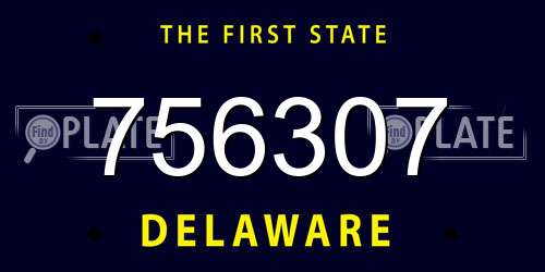 756307 Delaware License Plate