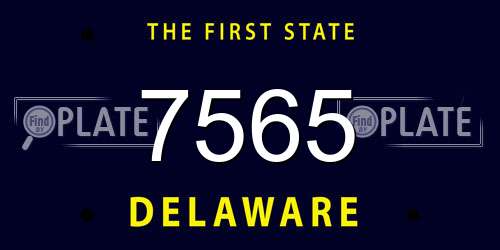 7565 Delaware License Plate
