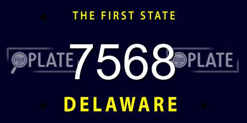 7568 Delaware License Plate