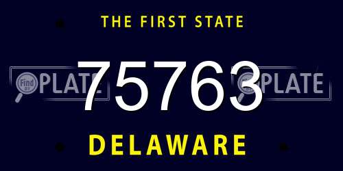 75763 Delaware License Plate