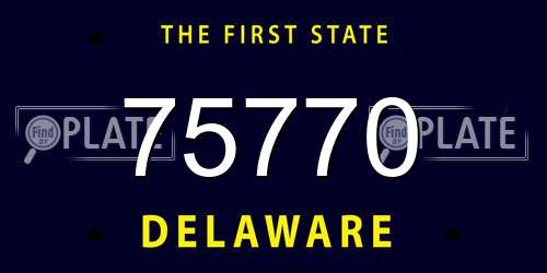 75770 Delaware License Plate