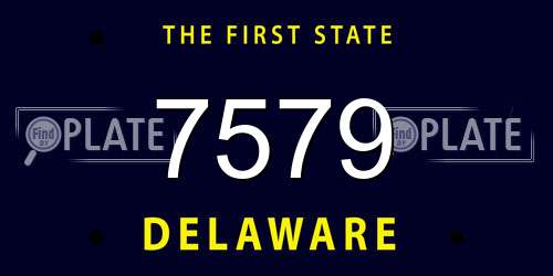 7579 Delaware License Plate
