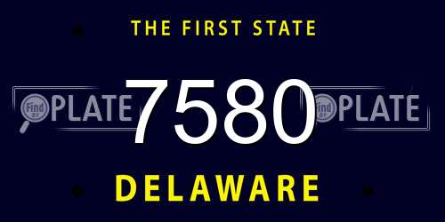 7580 Delaware License Plate
