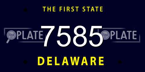 7585 Delaware License Plate