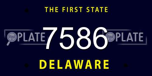 7586 Delaware License Plate