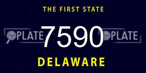 7590 Delaware License Plate