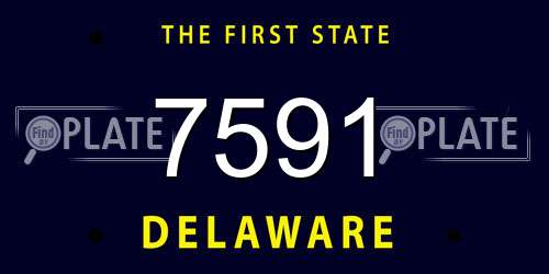 7591 Delaware License Plate