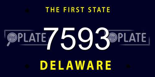 7593 Delaware License Plate