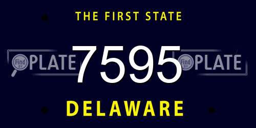 7595 Delaware License Plate