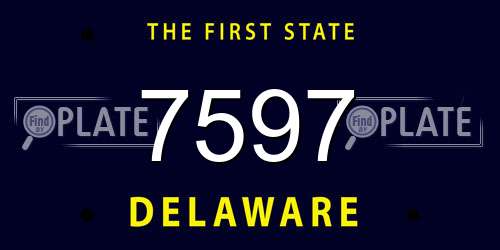 7597 Delaware License Plate
