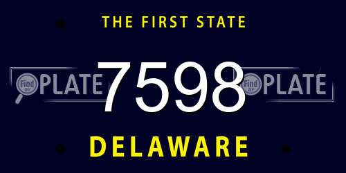 7598 Delaware License Plate