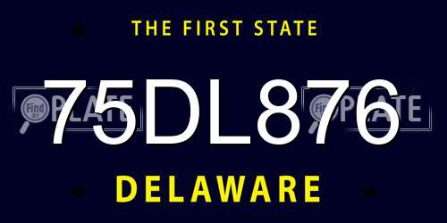 75DL876 Delaware License Plate