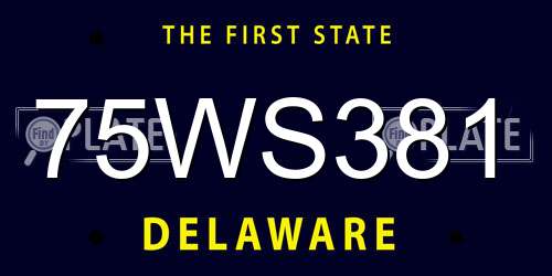 75WS381 Delaware License Plate