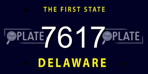7617 Delaware License Plate