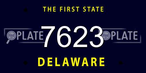 7623 Delaware License Plate