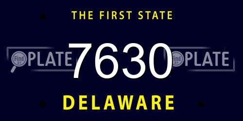 7630 Delaware License Plate