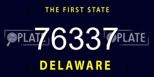 76337 Delaware License Plate