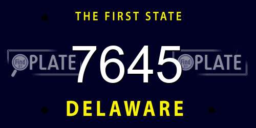 7645 Delaware License Plate